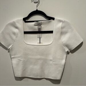 Aritzia Babaton sculpt knit crop top
